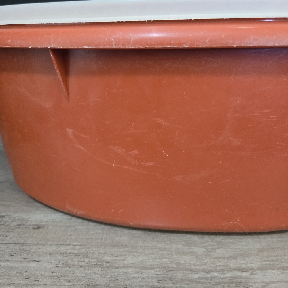 Orange Storage Container with White Lid - Picture 2 of 10